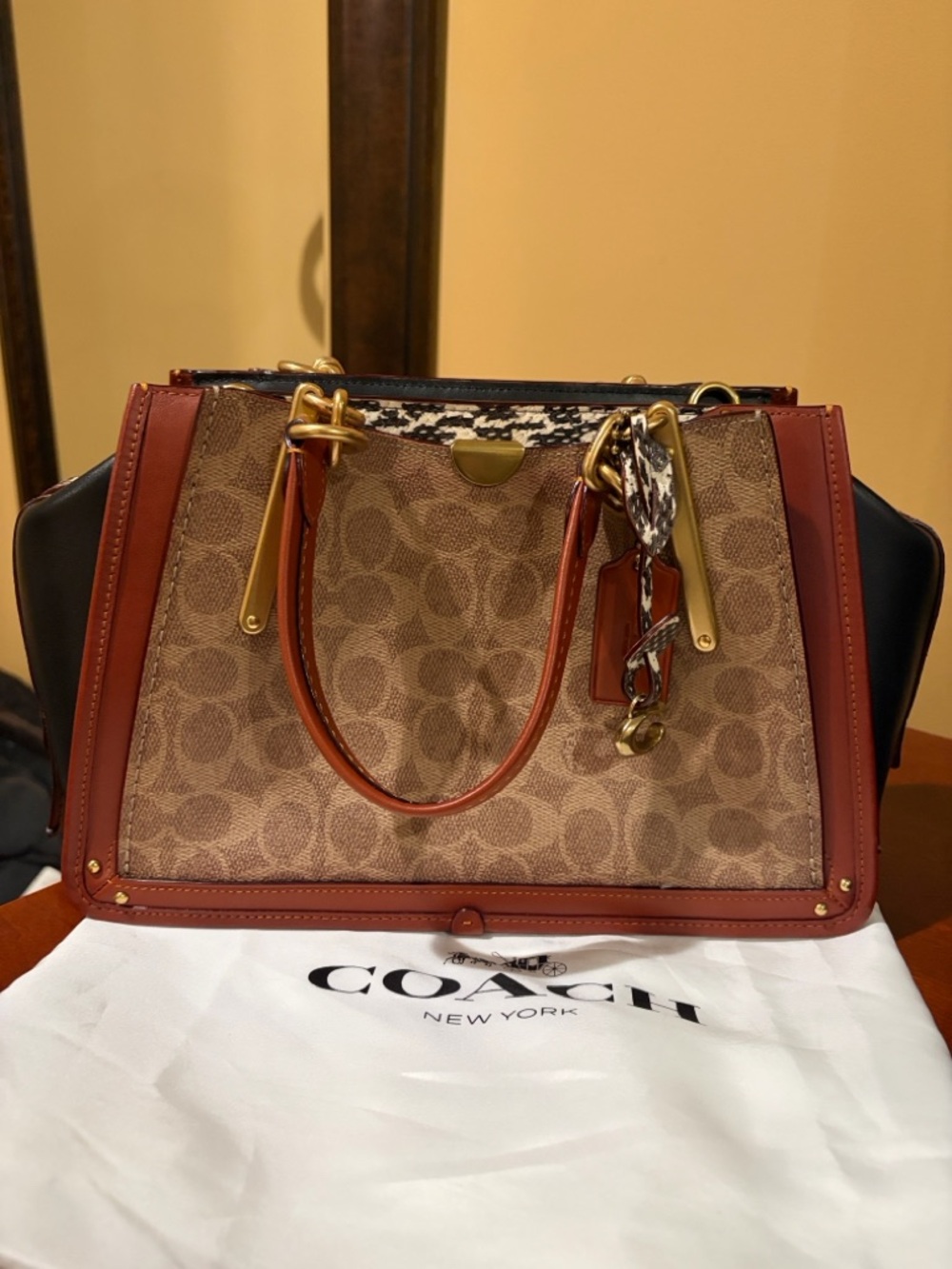 Coach Dreamer signature canvas, snake skin satchel